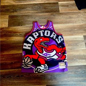 Men's Toronto Raptors Mitchell & Ness Purple Hardwood Classics.